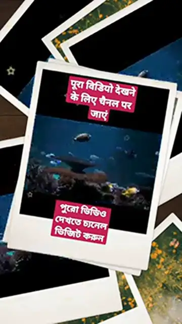 Video thumbnail for Samundar ka Paani Paak hai ya Napaak, समुन्दर का पानी पाक है या नापाक by Mufti Najmul Haque #short