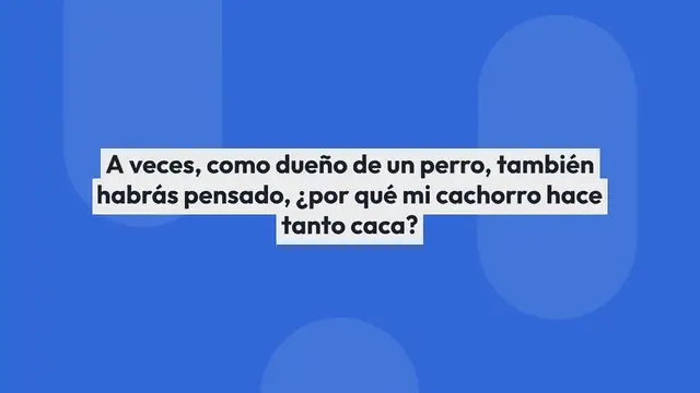 Video thumbnail for Por qué mi cachorro hace mucha caca?