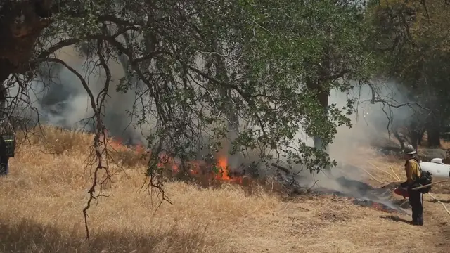 Video thumbnail for Unleashing Destruction: A Historical Account of Forest Fires in the USA