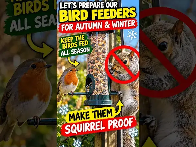 Video thumbnail for Stop Squirrels Stealing Your Bird Food! 🐿️🐦 #shorts