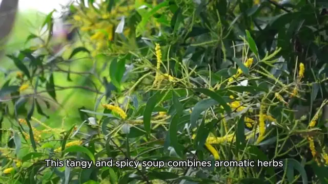 Video thumbnail for tom yum soup recipe