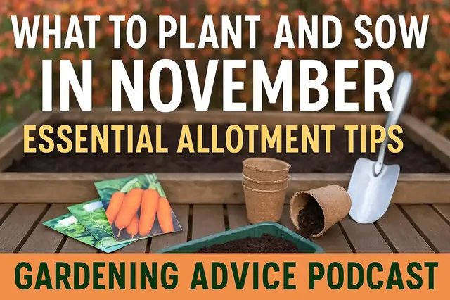 'Video thumbnail for What to Plant and Sow in November: Essential Allotment Tips | Gardening Advice Podcast'