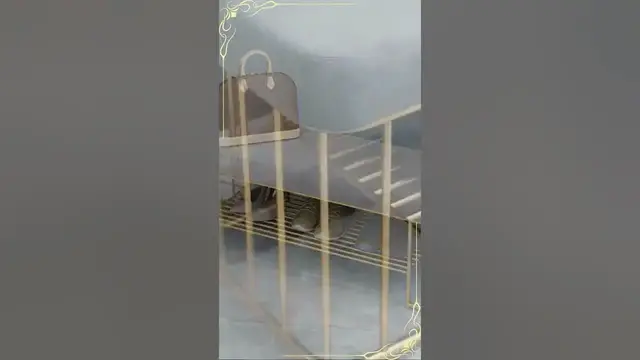 Video thumbnail for Step in Style: Shoe Stool with Storage Rack | Furniture #shorts