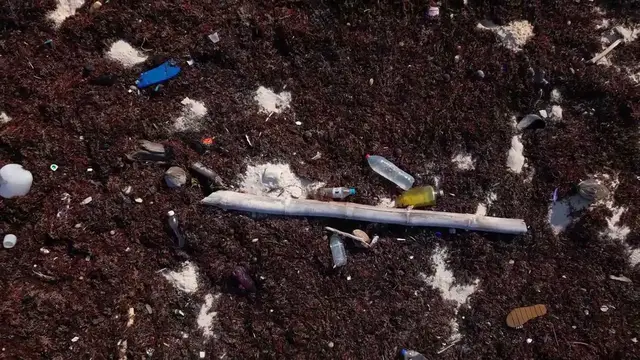 'Video thumbnail for Microplastics Impact on the Environment & Human Health'
