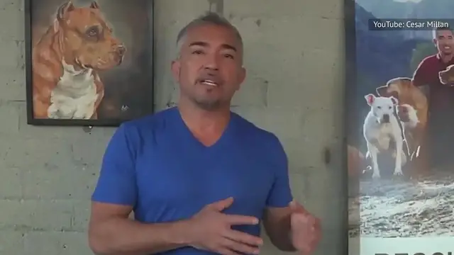 'Video thumbnail for We Finally Know What Happened To The Dog Whisperer Cesar Millan'