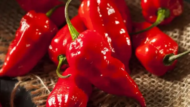 Video thumbnail for The Truth About The World's Hottest Peppers