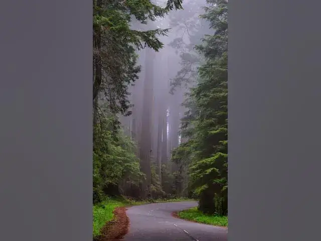 Video thumbnail for 333 : ANGELS' LOVING PRESENCE