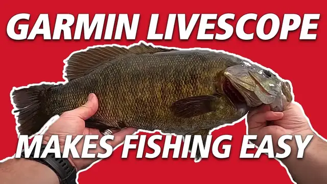 Video thumbnail for Garmin LiveScope Makes Catching Fish Easy | From Start to Finish