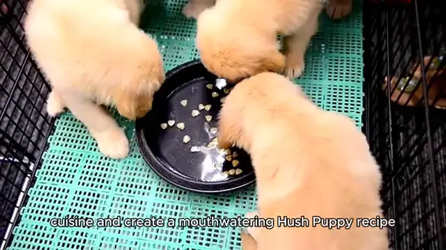 Video thumbnail for hush puppy recipe