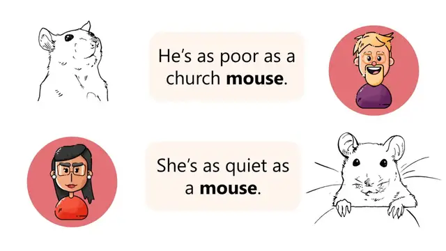 Video thumbnail for Poor as a Church Mouse & Quiet as a Mouse -  Learn These 2 Common English Idioms