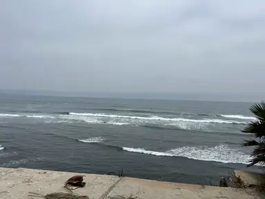 'Video thumbnail for Surfing K38 Review'