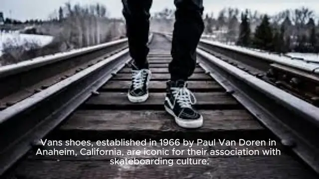Video thumbnail for Vans Shoes