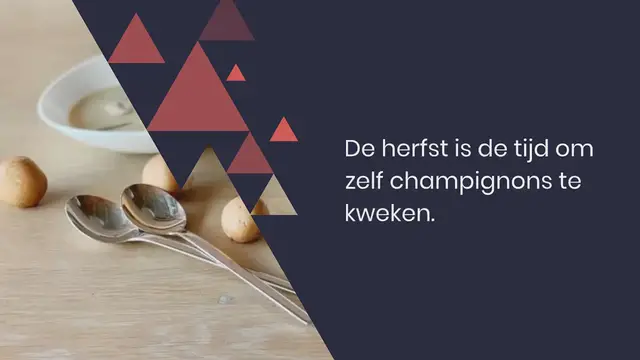 Video thumbnail for Recept champignonsoep; de allerlekkerste die er bestaat!