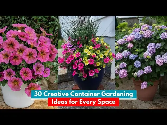 'Video thumbnail for 30 Container Gardening Ideas to Inspire, from Easy to Amazing'