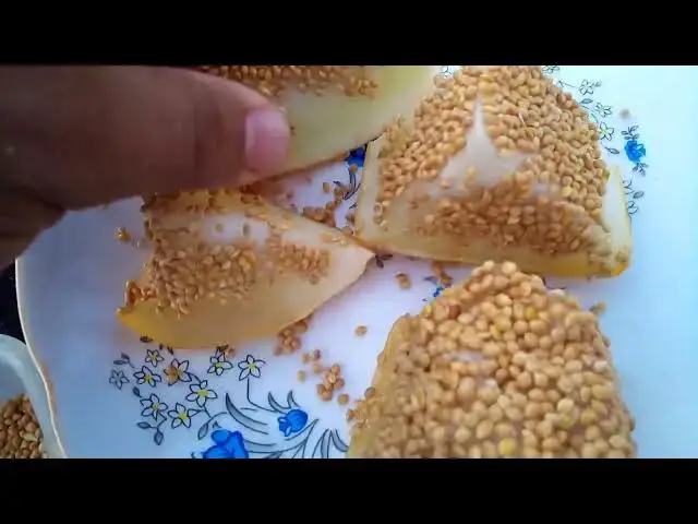 'Video thumbnail for 🌟 best food for  Birds – CUTE & Relaxing Moments 💚 #AnimalVibes'