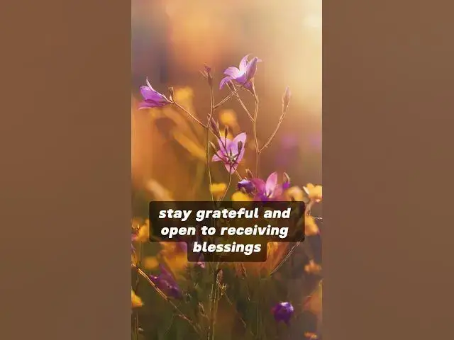 Video thumbnail for ANGEL NUMBER 888 MESSAGE ON ABUNDANCE AND GRATITUDE