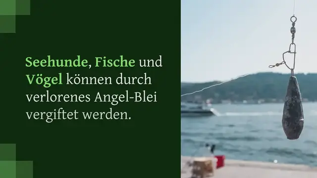 Video thumbnail for Bleifrei Angeln: Alternativen zu Blei beim Angeln