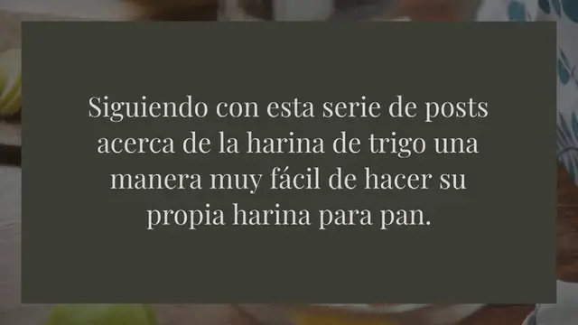 Video thumbnail for COMO HACER TU PROPIA HARINA PARA PAN {HARINA DE FUERZA}