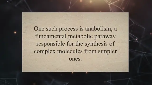 Video thumbnail for Anabolism