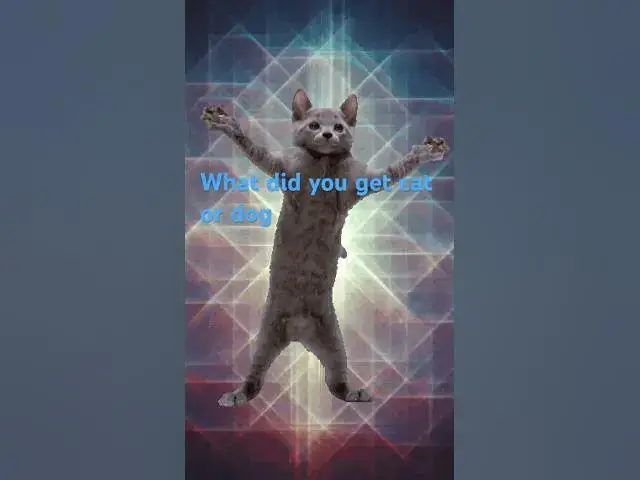 Video thumbnail for What did you get when you liked #cat #dog