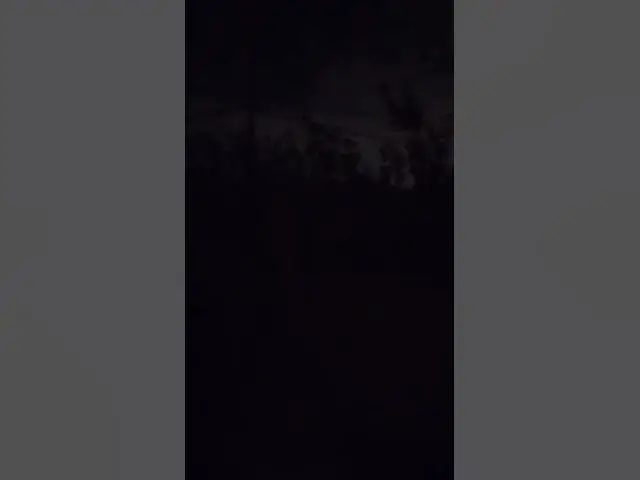 Video thumbnail for Feral Cats fighting at night! #feralcats #feral #catfights #cats