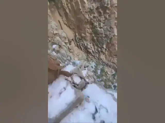 Video thumbnail for Hikers Get Chased by Mountain Lion
