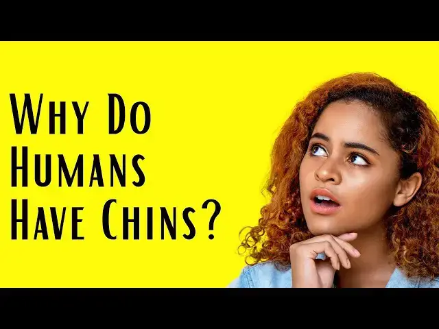 'Video thumbnail for Humans Chin: Adaptation or relic?'