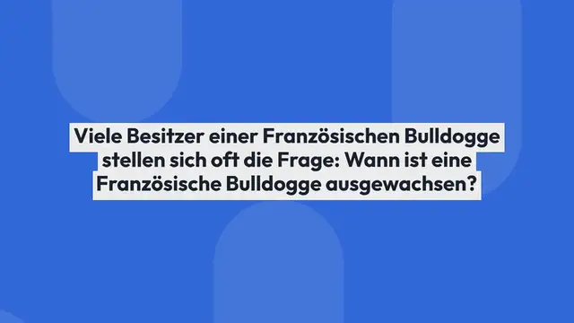 Video thumbnail for Wie lange wächst eine Französische Bulldogge?