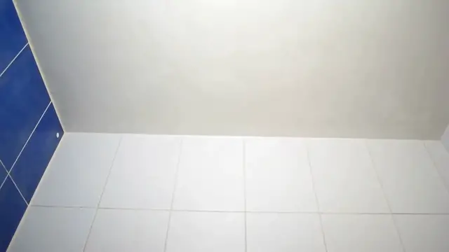 Video thumbnail for Removing Mold from Walls