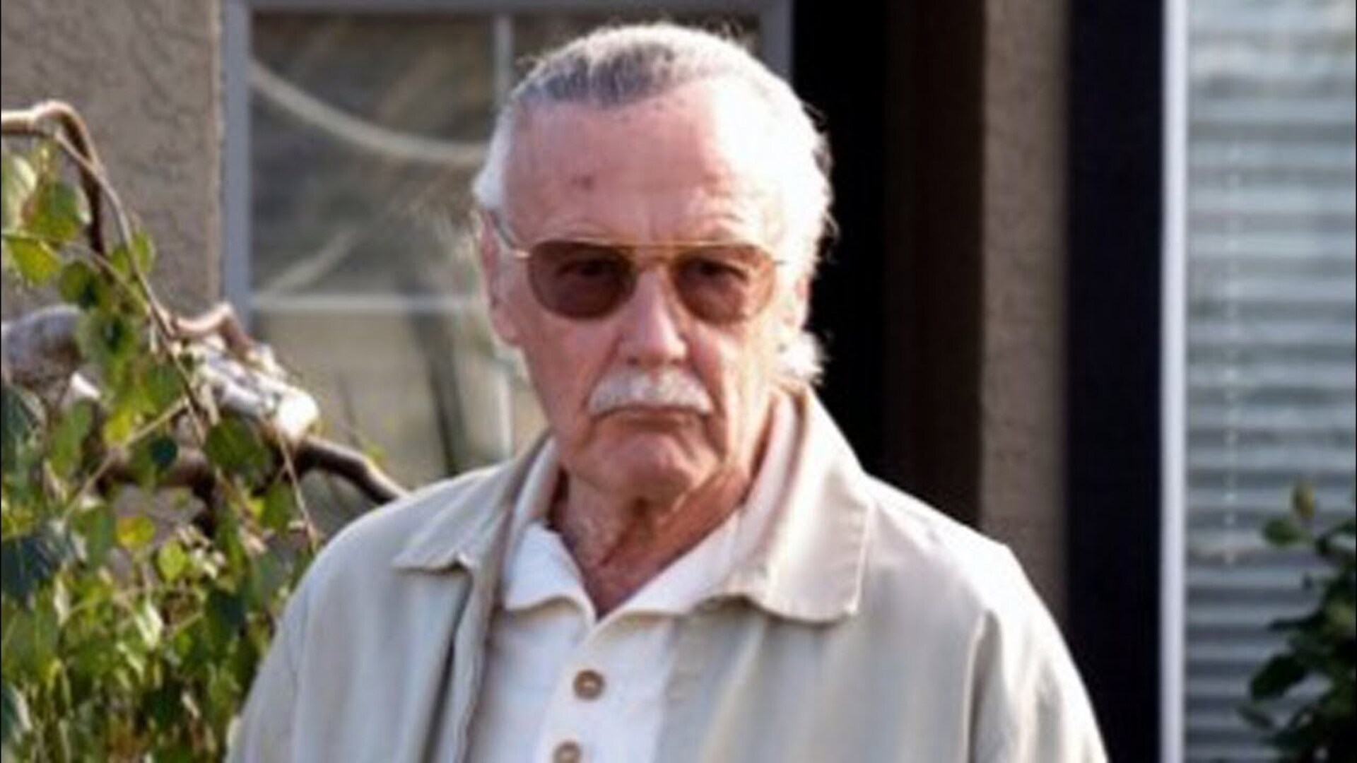 Video thumbnail for Ranking Every Stan Lee Movie Cameo From Worst To Best