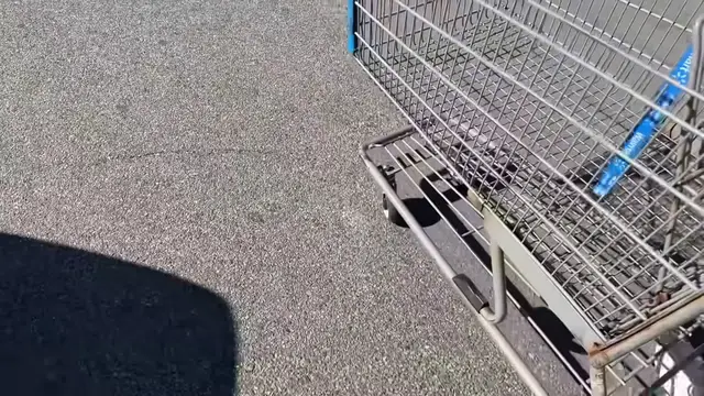 Video thumbnail for Momma starts planning Thanksgiving dinner 😳(720P HD)