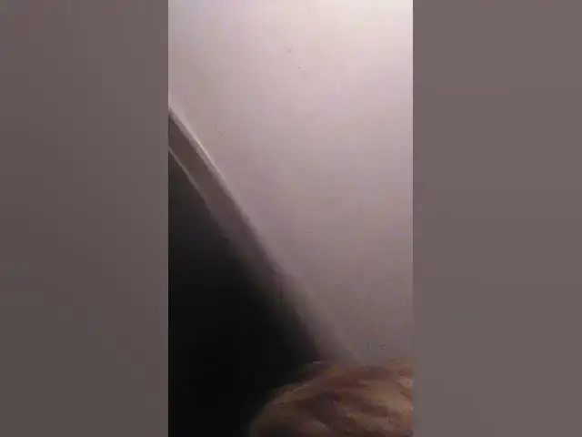 Video thumbnail for February 28, 2024