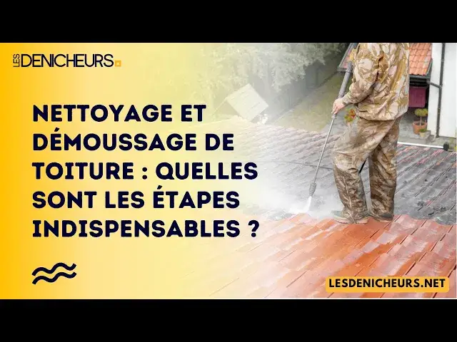 Video thumbnail for Nettoyage et démoussage de toiture : quelles sont les étapes indispensables ?