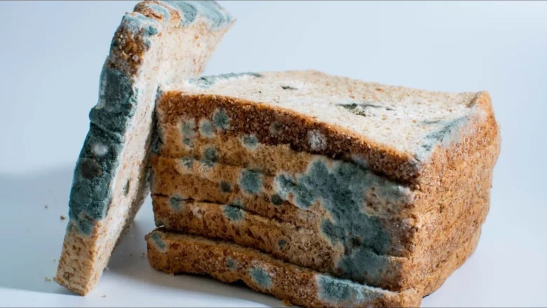 Video thumbnail for Why You Shouldn't Just Cut The Mold Off Old Bread