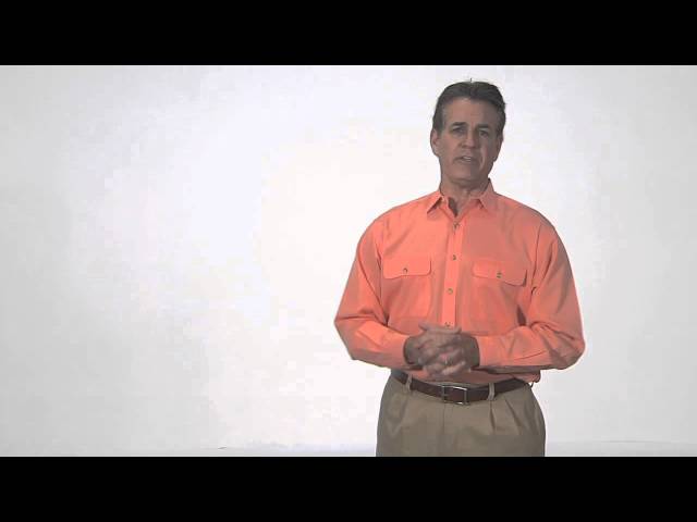 Video thumbnail for TheScoopOnFallTuneUps