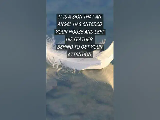 Video thumbnail for ANGELS IN YOUR HOUSE (Sign 111 Finding feathers)