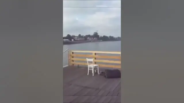 Video thumbnail for Drunk fisherman passes out #fail #fishing #shorts #bassfishing