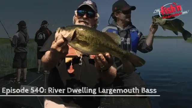 Video thumbnail for River Dwelling Largemouth Bass