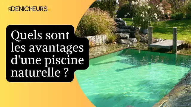 Video thumbnail for 💦 Une piscine naturelle pour l’été : est-ce une bonne idée ?🧐🔍