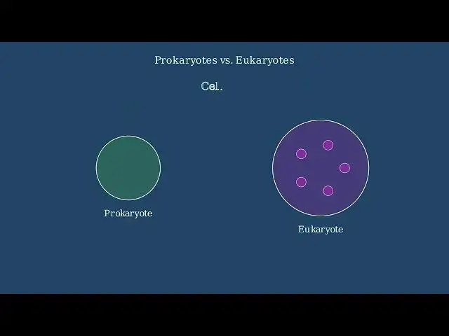 Video thumbnail for Prokaryotes vs Eukaryotes Animated Comparison