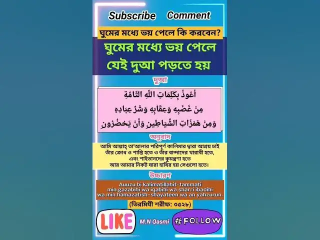 Video thumbnail for ঘুমের মধ্যে ভয় পেলে কি দুআ পড়বেন? #দুআ #দুয়া #দোয়া #হাদিস #dua #duaandwazaif #hadis#hadith#duaas
