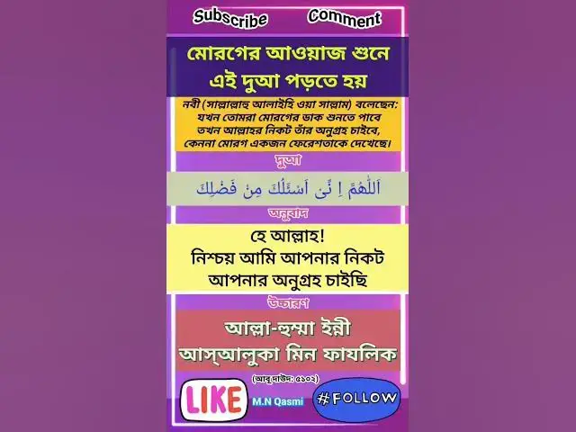 Video thumbnail for মোরগের আওয়াজ শুনলে কি দুআ পড়তে হয়? #দুআ #দোয়া #দুয়া #dua #hadis #duaandwazaif#hadith#shortvideo