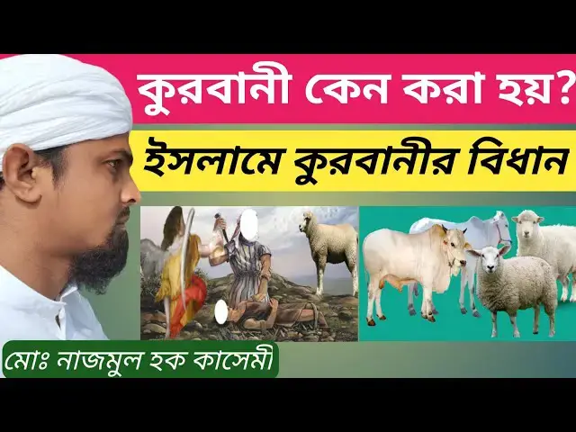 'Video thumbnail for কুরবানী কেন করা হয়? ইসলামের দৃষ্টিতে কুরবানীর বিধান'