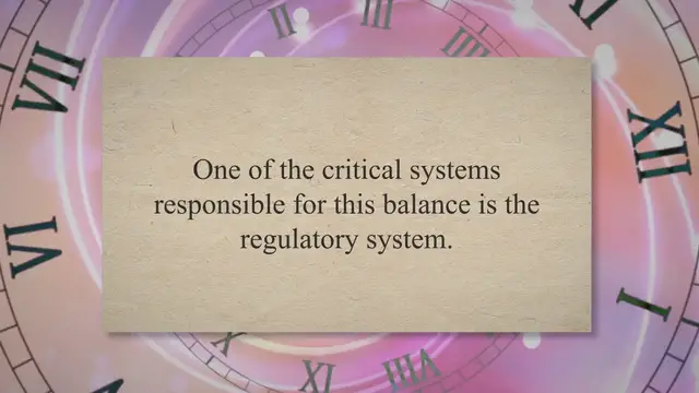 Video thumbnail for How the Regulatory System Works