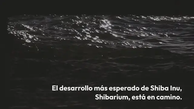 Video thumbnail for Billetera de Bitcoin con movimientos de 1100 BTC después de 8 años