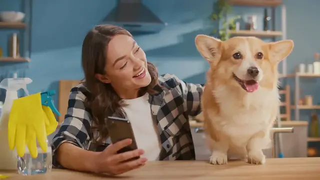 Video thumbnail for Cleaning Pet Stains from Carpet