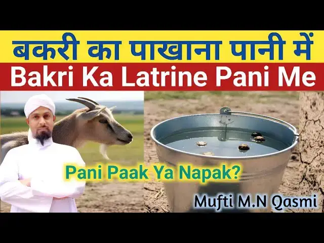 Video thumbnail for Pani Mein Bakri Ka Latrine Pakhana Girne Par Kya Pani Napaak Ho Jata Hai?