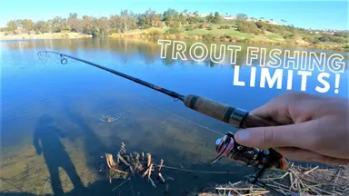 'Video thumbnail for Trout Fishing OC Parks || Laguna Niguel Regional Park Fishing || Part 1'