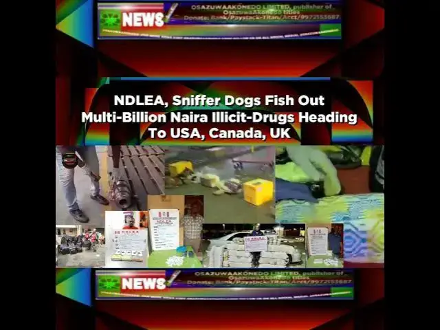 Video thumbnail for NDLEA, Sniffer Dogs Fish Out Multi-Billion Naira Illicit-Drugs Heading To USA, Canada, UK ~ Osazu...