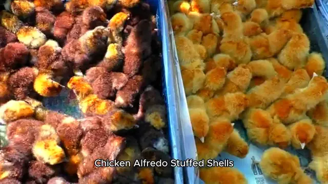 Video thumbnail for Chicken Alfredo Stuffed Shells